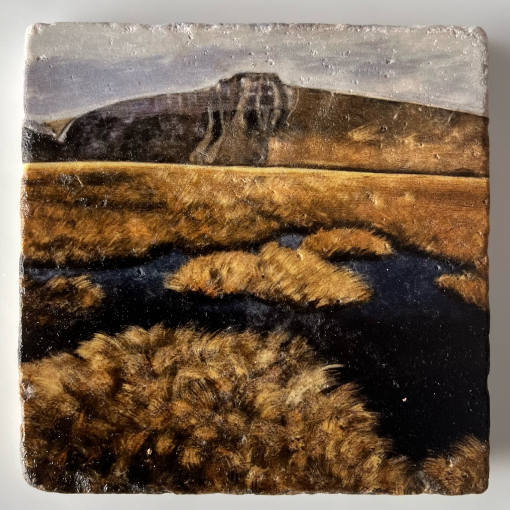 Brecon Beacon Coaster